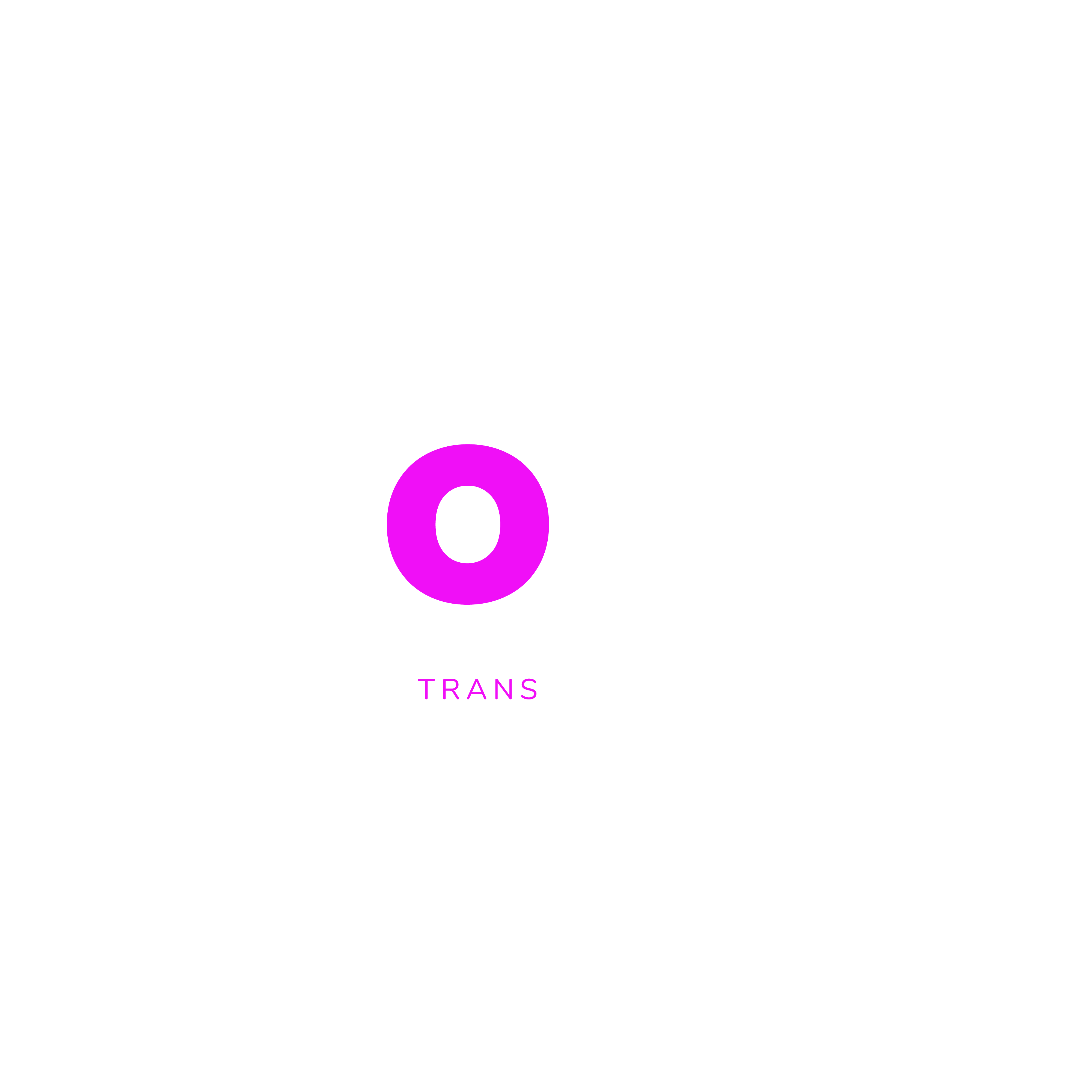 Noah Scheffel